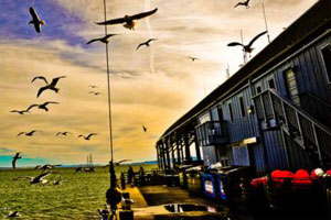 富有魅力的秋思手机号轰炸平台